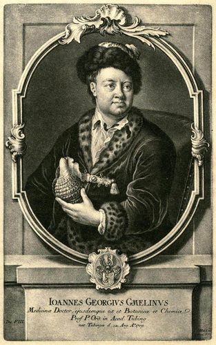 JJ Haid nach WD Majer - Johann Georg Gmelin (Schabkunst 1760) — Mezzotint