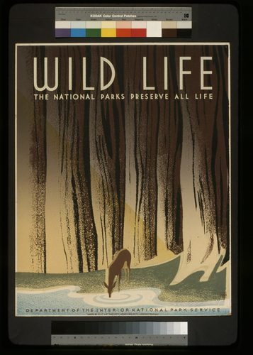 Preservewildlife — Screen Printing