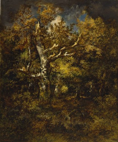 Forest of Fountainebleau, Autumn — Scumbling