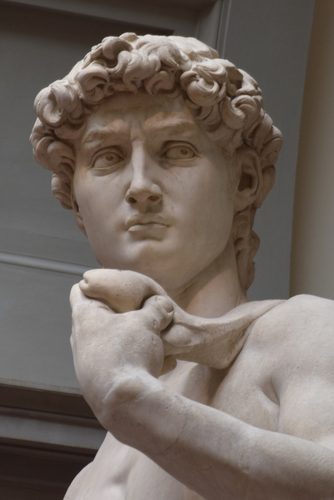 Michelangelo David crop — Stone Carving