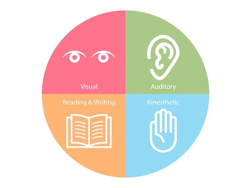 Four Types of Learning Styles — Vector Illustration