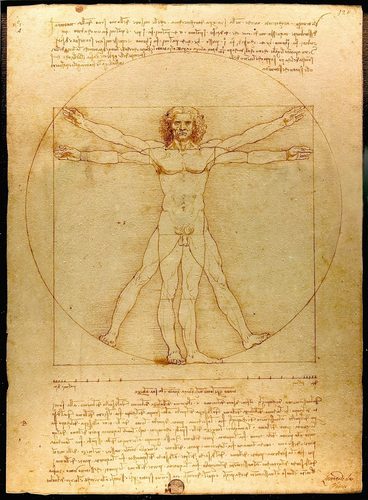 Vitruvian Man — Vector Illustration